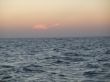 DSCF1205.JPG