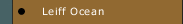 Leiff Ocean